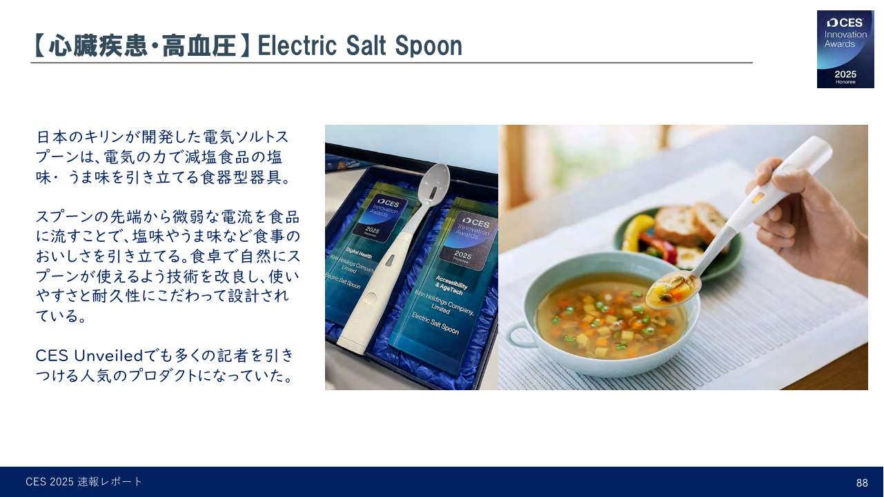 Electric Salt Spoon(エレクトリックソルトスプーン、キリン)